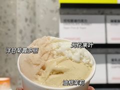 -DIP in GELATO(富民路店)
