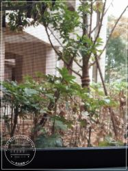 -尚艺造型.剪烫染.接发