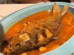 红烧黄河鲤鱼-阿五黄河大鲤鱼(海尚店)