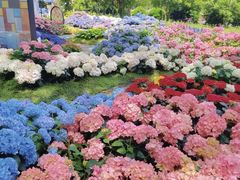 -上海鲜花港