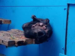 -北京野生动物园