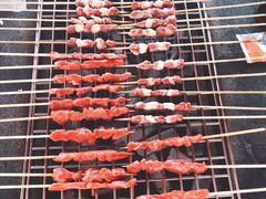 -春花秋色城市公园