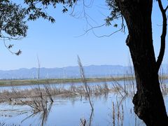 -野鸭湖国家湿地公园