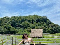 -溪口-滕头旅游景区