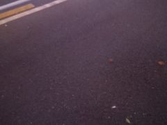 -老街鱼嘴巴(坡子街老店)