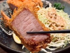 -山杏yama-katsu·吉列炸物