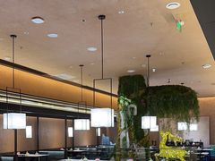 -阿露佳·舌尖上的安吉菜