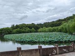 -浙江西湖美术馆