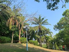 -深圳龙潭公园