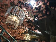 -宝燕海鲜(好爱店)
