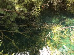 -九寨沟-树正沟