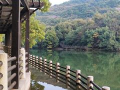 -白马涧龙池景区