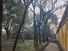 -西园戒幢律寺