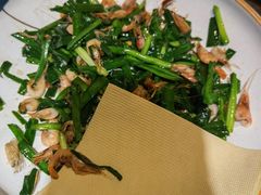 -鸽子窝(青塔店)