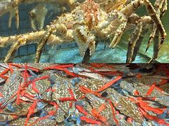 -濠景渔港(汇通店)