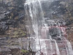 -陕西省红河谷森林公园