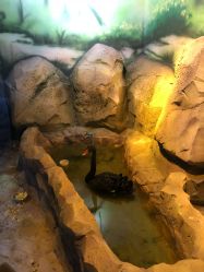 -酷嗒动物文化乐园(cutezoo西溪乐天城店)