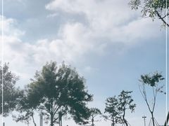 -青岛石老人海水浴场
