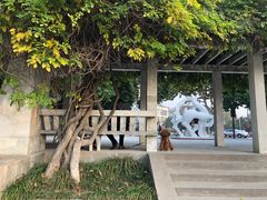 -环城公园-琥珀潭