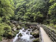 -龙苍沟森林公园