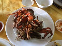 -莲花公园煎蟹(总店)