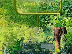 -云溪植物园