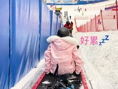 -哈尔滨热雪奇迹