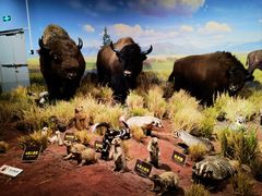 -陕西自然博物馆