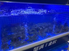 -蟹状元大闸蟹·年货·粽子(成都成华店)