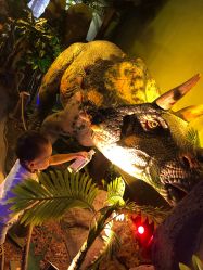 -恐龙探索乐园(磁器口店)