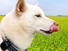 -溪口-滕头旅游景区