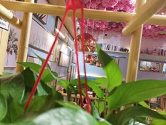 -椰贝原味椰子鸡(玉林万达店)