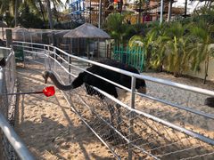 -三亚亚龙湾天域度假酒店