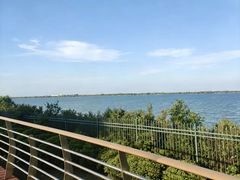 -江滩湿地公园