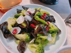 -小吊梨汤·北京菜·烤鸭(鸟巢店)