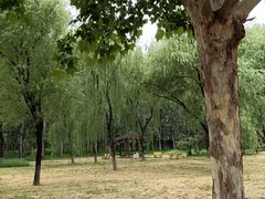 -老君堂公园