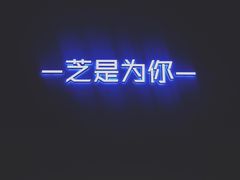 -狐狸和向日葵(北京路店)