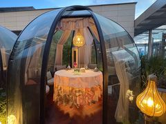 -龟兹KUCINA·新疆菜(前滩L+PLAZA店)