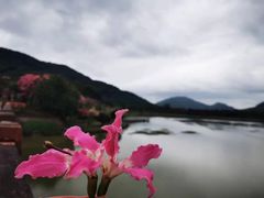 -风云岭森林公园