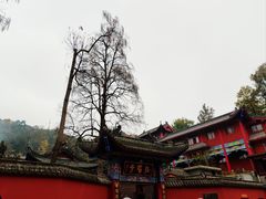 -黔灵山公园