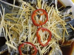 -煲来饱去冷水鱼
