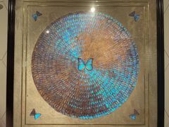 -上海昆虫博物馆