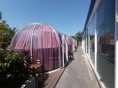-景式·廣東粤菜(凤凰古站店)
