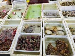 -外伶仃岛海鲜市场
