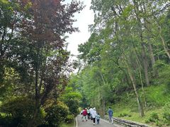 -黔灵山公园