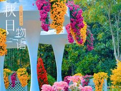 -上海共青森林公园