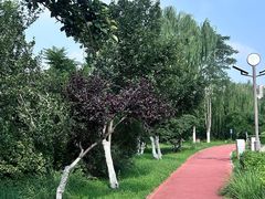-南翠屏公园