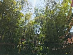 -上海衡山路十二号华邑酒店