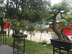 -东湖食堂·湖景餐厅•会议