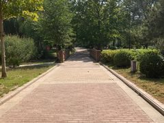 -太阳宫公园